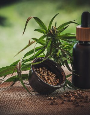 Cannabis